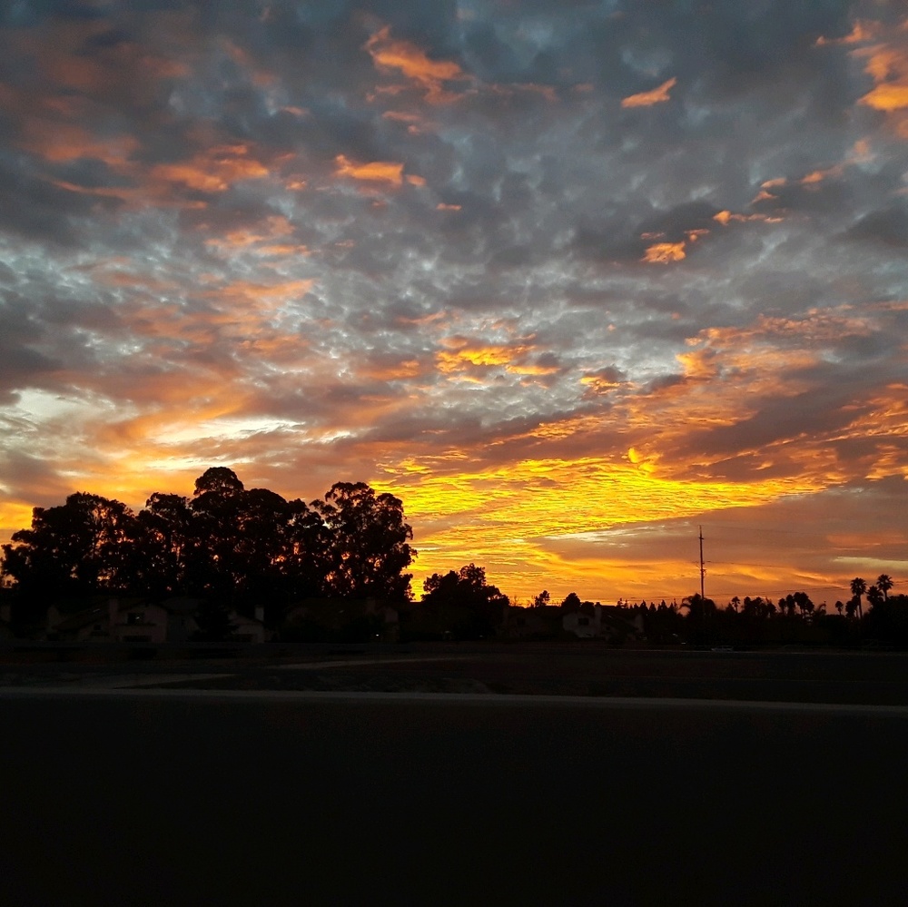 Meet your Posher, Mia